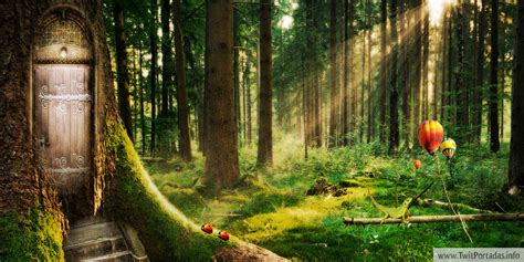 Descubre las fotos más increíbles del Bosque Mágico Bonxe ¡Te sorprenderás! 🌳📸 #BosqueMágicoBonxe #FotosIncreíbles