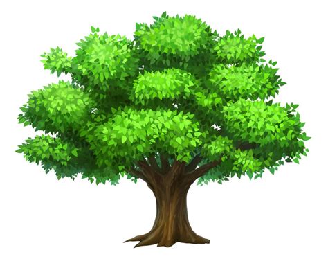 Desenho Da Arvore