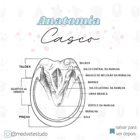 Desenho Do Cascão