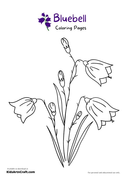 Desert Bluebell Coloring Pages For Kids To Color Desert Coloring Pages To Print - Desert Coloring Pages To Print