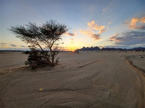 Desert Crossing