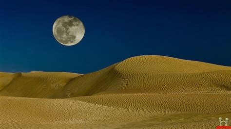 Full Download Desert Moon Desert Moon Fbtest 