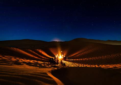 Read Desert Nights 