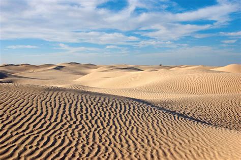 Download Deserts And Desert Environments 