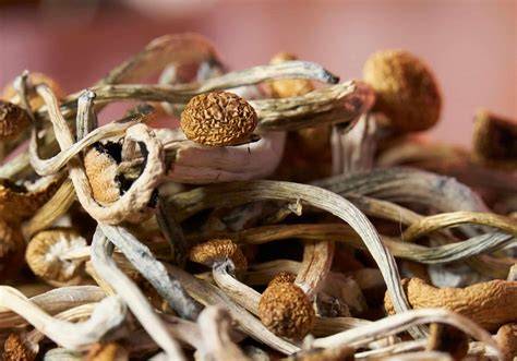 desi shroom nude