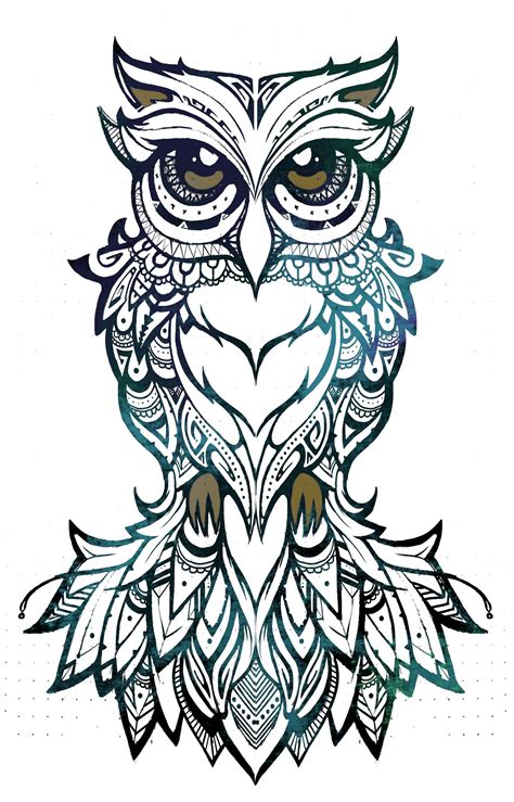 design owl