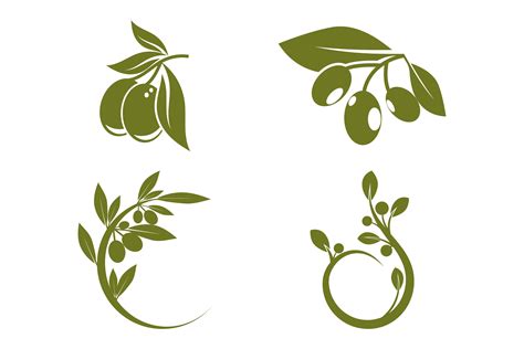 Design Studienfuhrer Mit Olive