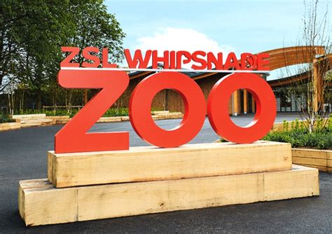 Full Download Design A Zoo Zsl 