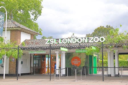 Full Download Design A Zoo Zsl 