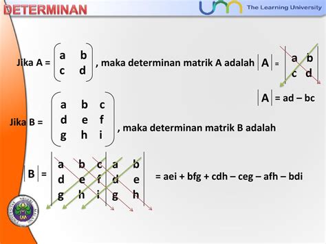 determinan adalah | Admire la belleza de los sinuosos campos