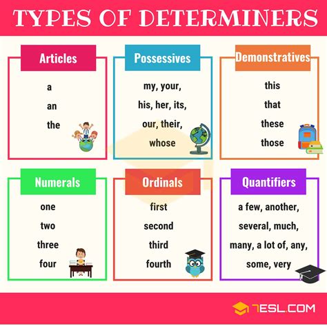Determiners Class 8