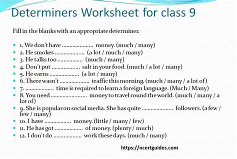 Determiners Class 9 Exercises
