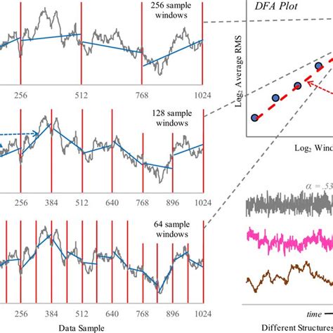 Detrended Fluctuation Analysis