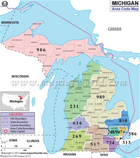 detroit michigan area code