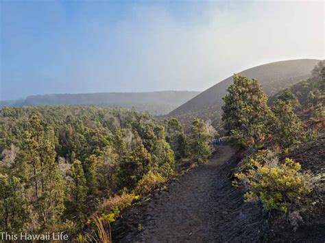 devastation trail hawaii