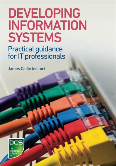 Developing Information Systems Practical Guidance For It Professionals Julian Cox