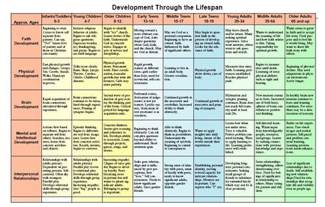 Developing Person Through The Lifespan