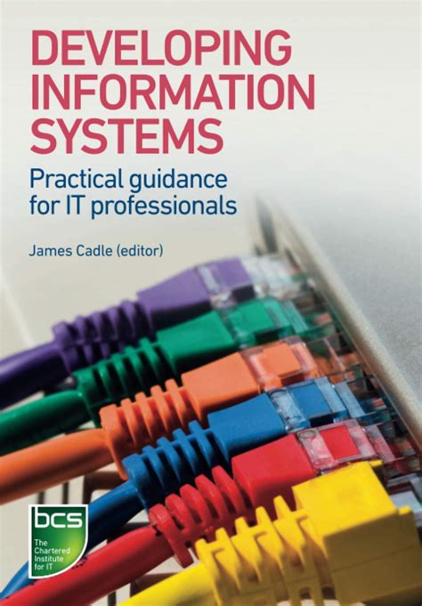 Read Developing Information Systems Practical Guidance For It Professionals 