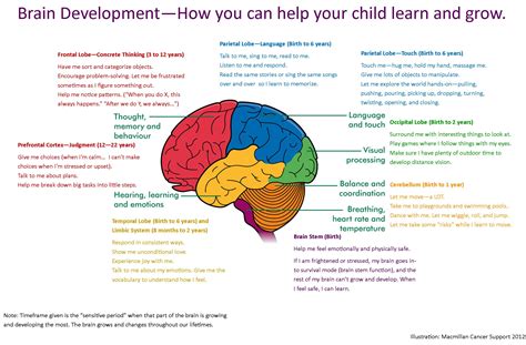 Development And Brain Systems In Autism Carnegie Mellon Symposia On Cognition Series