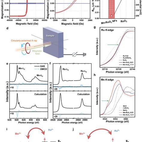Development And Magnetic Analysis Of Stirling Convertor