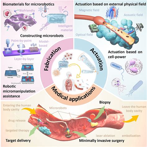 Development Of Biomedical Applications Of Non Equilibrium