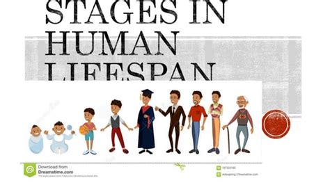 Development Through The Lifespan 4 E