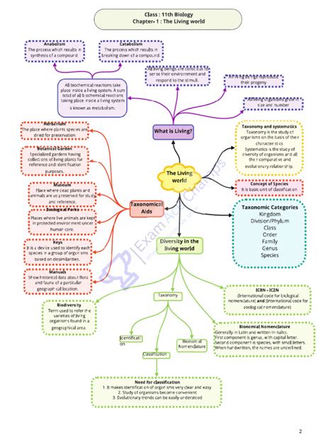 Developmental Biology Chapter 1 Flashcards Quizlet