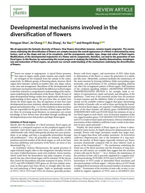 Developmental Mechanisms Involved In The Diversification Of Flowers Science Of Flowers - Science Of Flowers