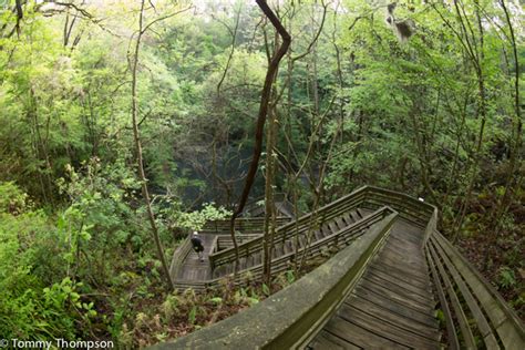 devil's millhopper florida