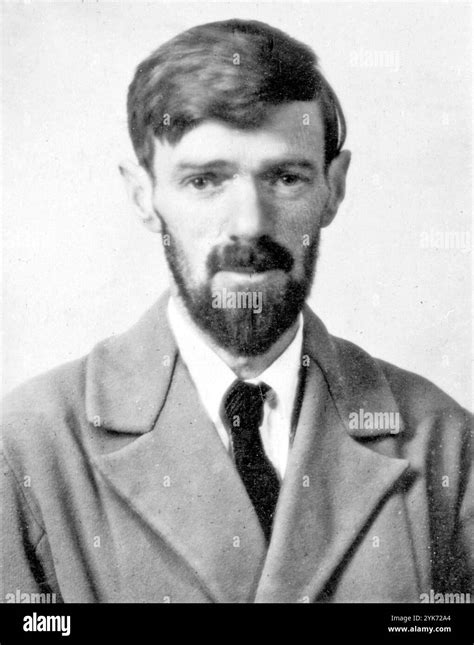 dh lawrence