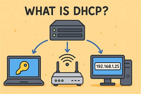 Dhcp Co To
