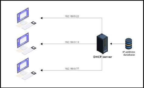 Dhcp Que Es