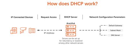 Dhcp Stands For