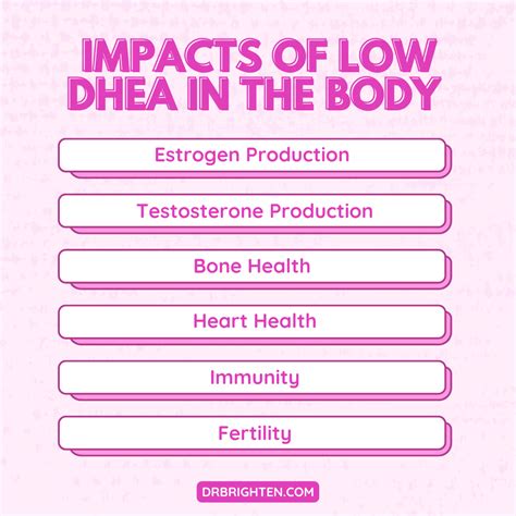 dhea and testosterone in women​