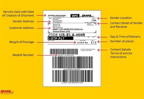dhl tracking number | DT Express Tracking Kim tra vn n