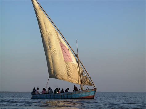 Dhow In Ap World