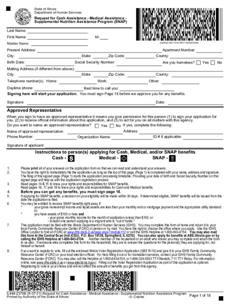 Read Dhs Paper Application 