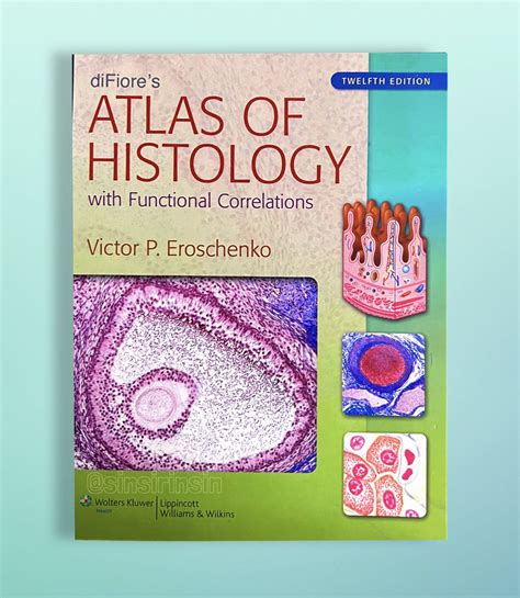 Download Difiores Atlas Of Histology With Functional Correlations By Victor P Eroschenko