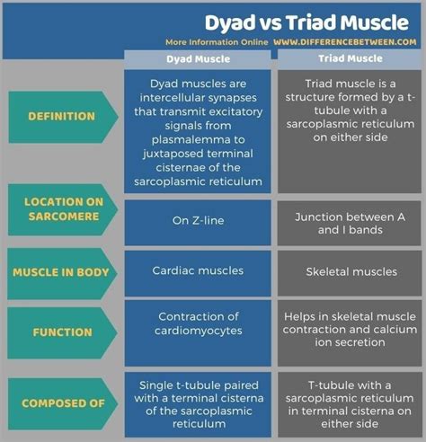 Diad Triad