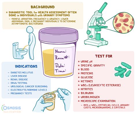 Download Diagnostic Test Oup 