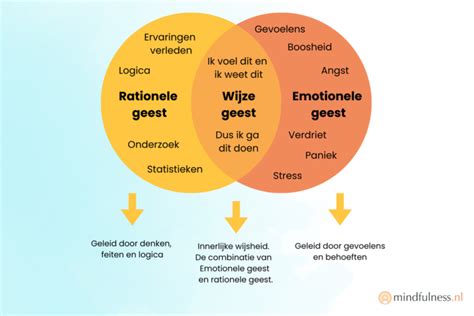dialectische gedragstherapie