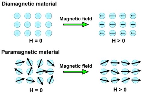 Diamagnetic Materials Examples