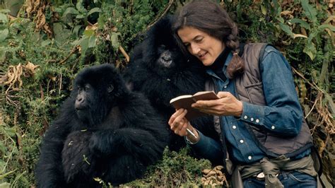 dian fossey