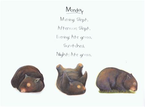 Read Diary Of A Wombat 