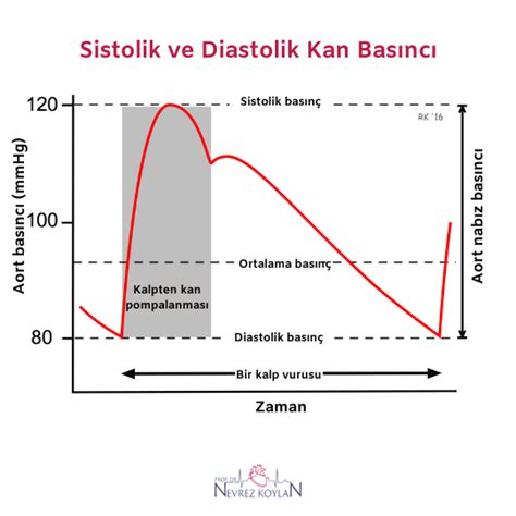 diastolik nedir