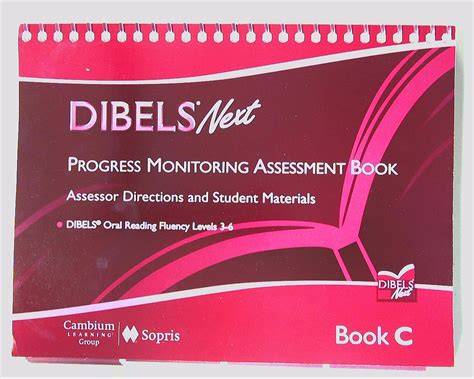 dibels next materials progress monitoring daze