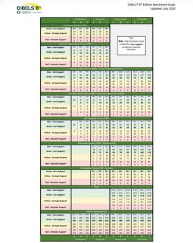 Dibels Next Score Tracking