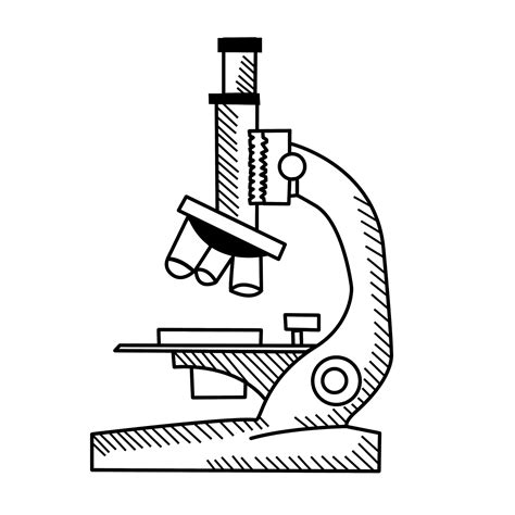 Dibujo De Microscopio