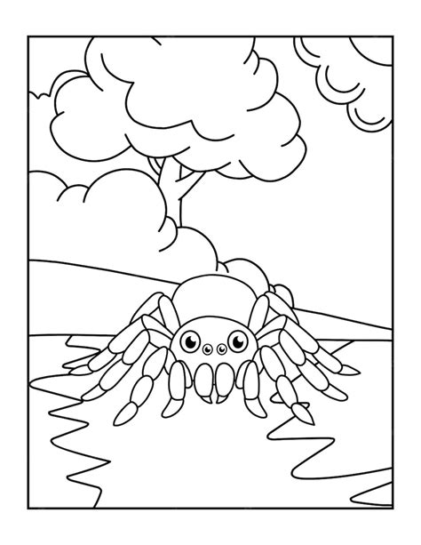 Dibujos De Arañas