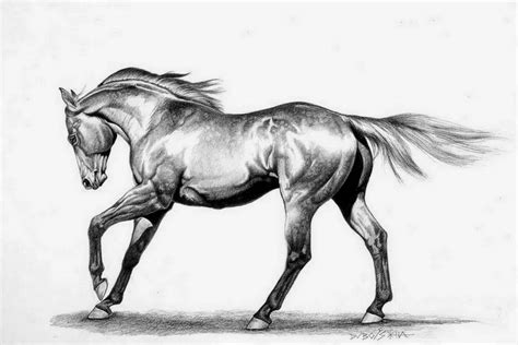 Dibujos De Caballos